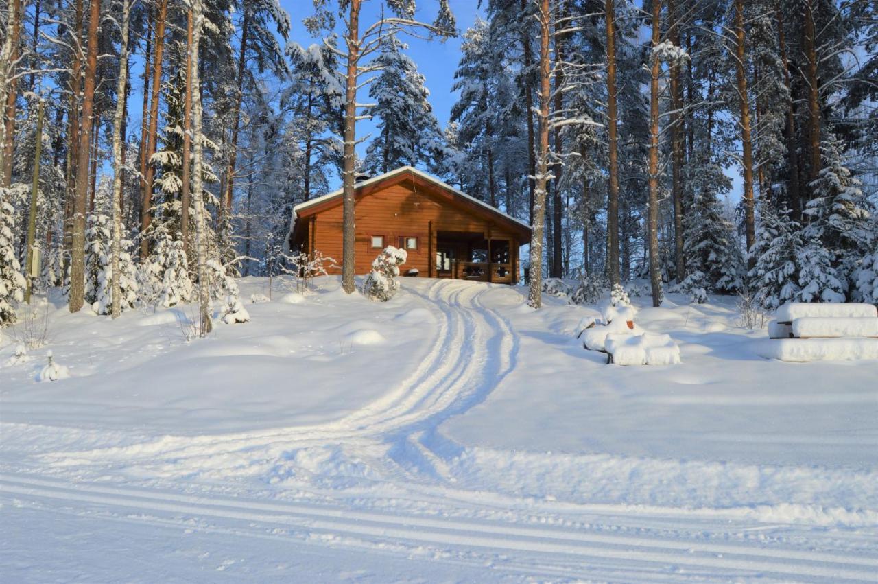 Rinnepelto Holiday Cottages Тахковуори Экстерьер фото
